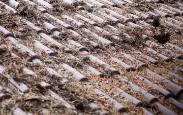 Hollington roof cleaning companies